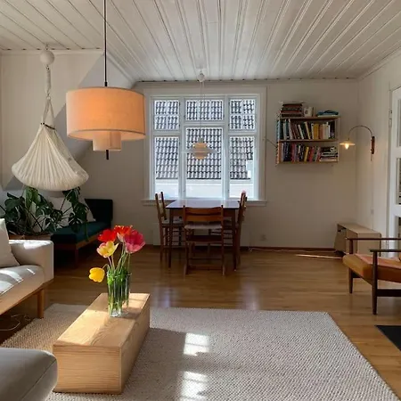Toppleilighet I Tomannsbolig Daire